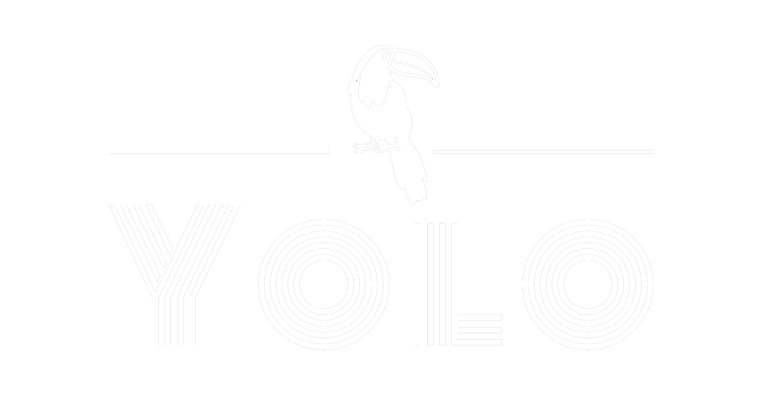 YOLO